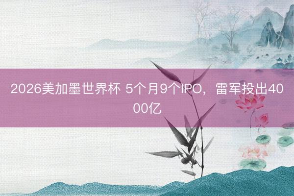 2026美加墨世界杯 5个月9个IPO，雷军投出4000亿