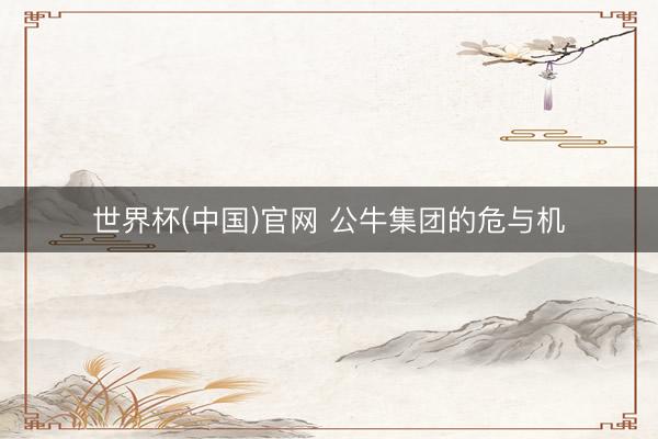 世界杯(中国)官网 公牛集团的危与机