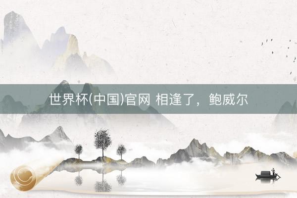 世界杯(中国)官网 相逢了，鲍威尔