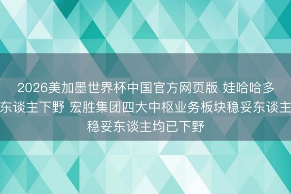 2026美加墨世界杯中国官方网页版 娃哈哈多板块稳妥东谈主下野 宏胜集团四大中枢业务板块稳妥东谈主均已下野