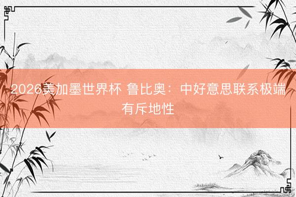 2026美加墨世界杯 鲁比奥:中好意思联系极端有斥地性