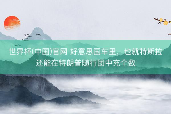 世界杯(中国)官网 好意思国车里，也就特斯拉还能在特朗普随行团中充个数