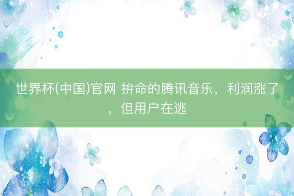 世界杯(中国)官网 拚命的腾讯音乐,利润涨了,但用户在逃