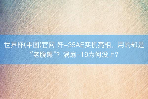 世界杯(中国)官网 歼-35AE实机亮相,用的却是“老腹黑”?涡扇-19为何没上?