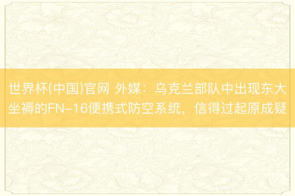 世界杯(中国)官网 外媒：乌克兰部队中出现东大坐褥的FN-16便携式防空系统，信得过起原成疑
