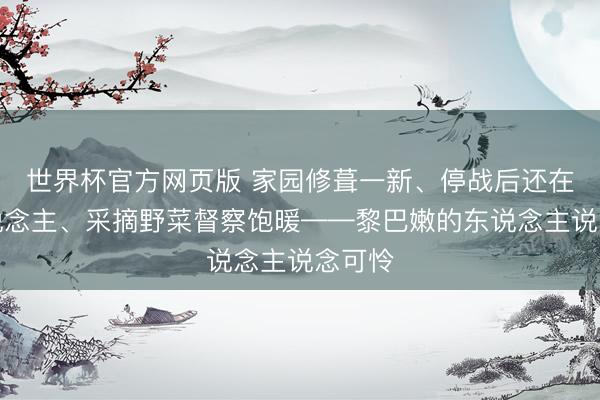 世界杯官方网页版 家园修葺一新、停战后还在死东说念主、采摘野菜督察饱暖——黎巴嫩的东说念主说念可怜