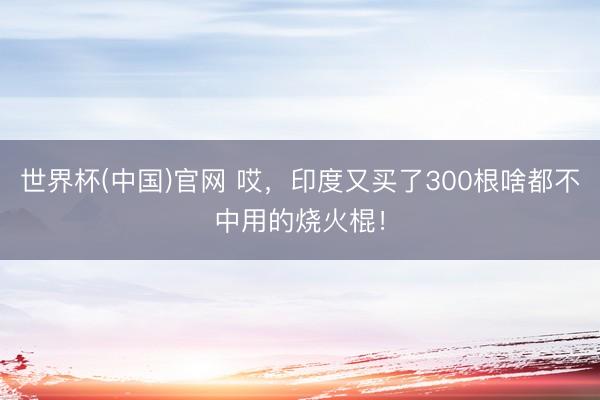 世界杯(中国)官网 哎，印度又买了300根啥都不中用的烧火棍！