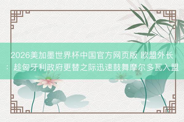 2026美加墨世界杯中国官方网页版 欧盟外长：趁匈牙利政府更替之际迅速鼓舞摩尔多瓦入盟