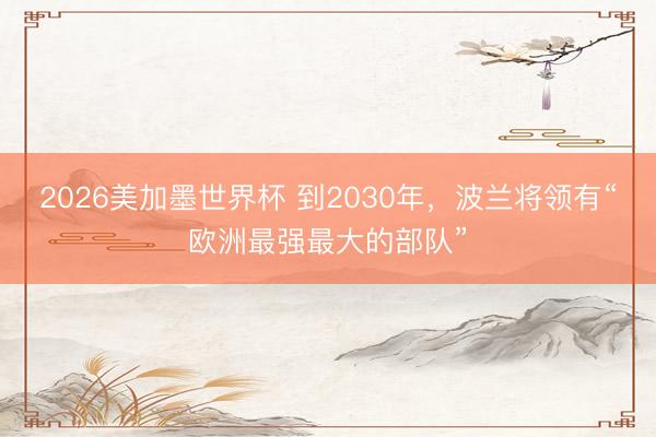 2026美加墨世界杯 到2030年,波兰将领有“欧洲最强最大的部队”