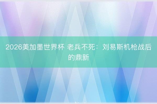 2026美加墨世界杯 老兵不死：刘易斯机枪战后的鼎新