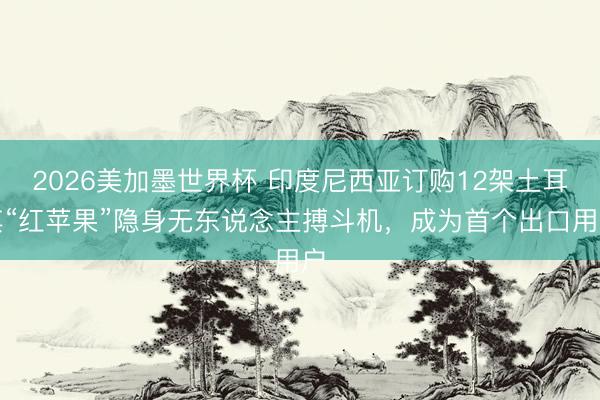 2026美加墨世界杯 印度尼西亚订购12架土耳其“红苹果”隐身无东说念主搏斗机,成为首个出口用户
