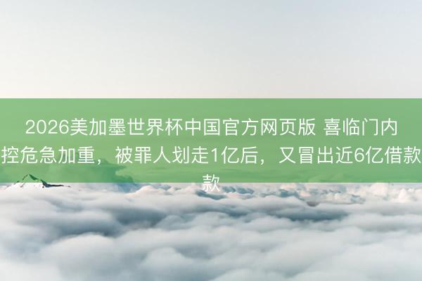 2026美加墨世界杯中国官方网页版 喜临门内控危急加重，被罪人划走1亿后，又冒出近6亿借款