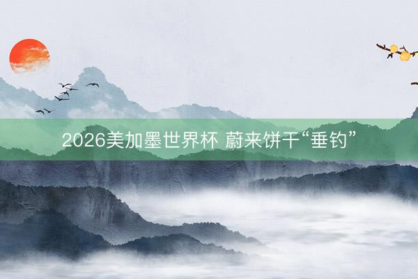 2026美加墨世界杯 蔚来饼干“垂钓”