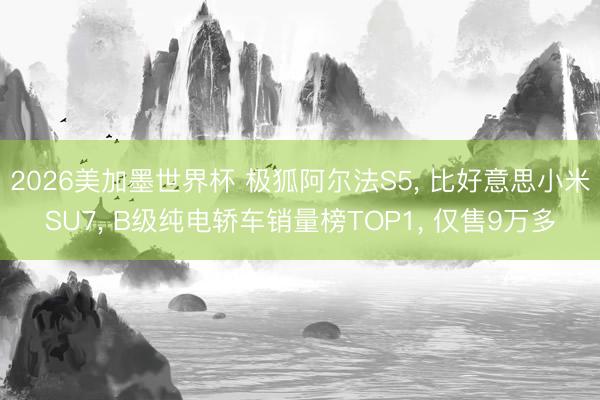 2026美加墨世界杯 极狐阿尔法S5， 比好意思小米SU7， B级纯电轿车销量榜TOP1， 仅售9万多