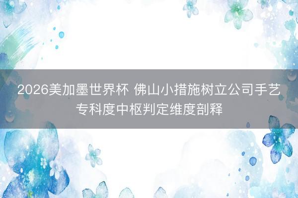 2026美加墨世界杯 佛山小措施树立公司手艺专科度中枢判定维度剖释