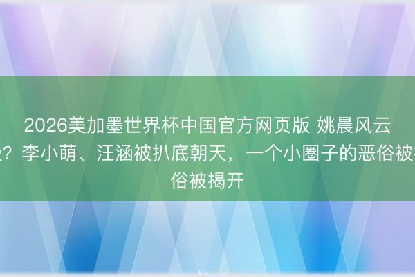 2026美加墨世界杯中国官方网页版 姚晨风云升级？李小萌、汪涵被扒底朝天，<a href=