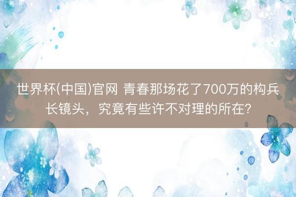 世界杯(中国)官网 青春那场花了700万的构兵长镜头，究竟有些许不对理的所在？