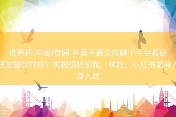 世界杯(中国)官网 中国不雅众在哪个平台看好意思加墨世界杯？央视强势领跑，咪咕、小红书躬身入局