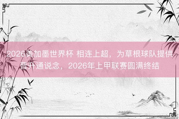 2026美加墨世界杯 相连上超,为草根球队提供晋升通说念,2026年上甲联赛圆满终结