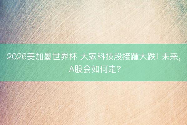 2026美加墨世界杯 大家科技股接踵大跌! 未来， A股会如何走?