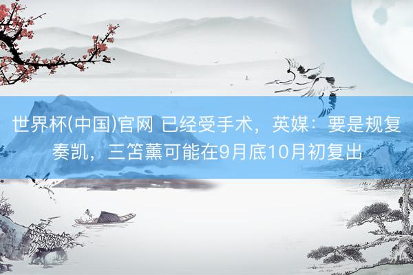 世界杯(中国)官网 已经受手术，英媒：要是规复奏