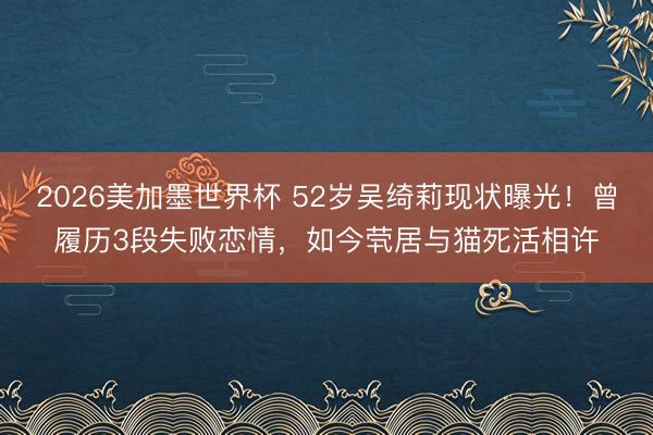 2026美加墨世界杯 52岁吴绮莉现状曝光！曾履历3段失败恋情，如今茕居与猫死活相许