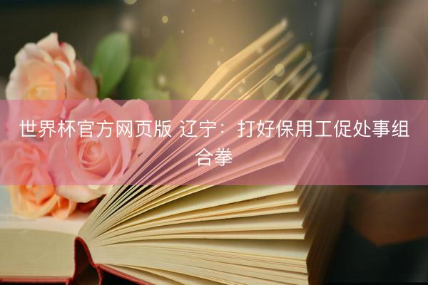 世界杯官方网页版 辽宁：打好保用工促处事组合拳