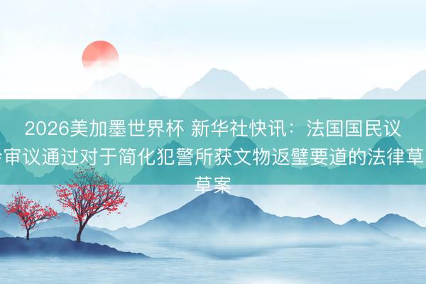 2026美加墨世界杯 新华社快讯：法国国民议会审议通过对于简化犯警所获文物返璧要道的法律草案