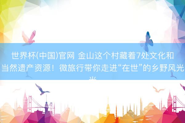 世界杯(中国)官网 金山这个村藏着7处文化和当然遗产资源！微旅行带你走进“在世”的乡野风光