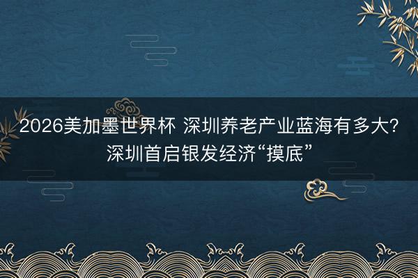 2026美加墨世界杯 深圳养老产业蓝海有多大？深圳首启银发经济“摸底”